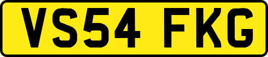 VS54FKG