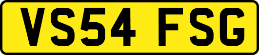 VS54FSG