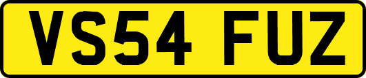 VS54FUZ