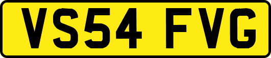 VS54FVG
