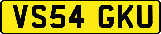 VS54GKU
