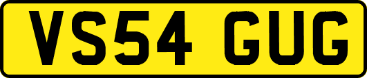 VS54GUG