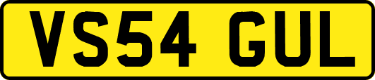 VS54GUL