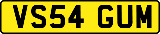 VS54GUM