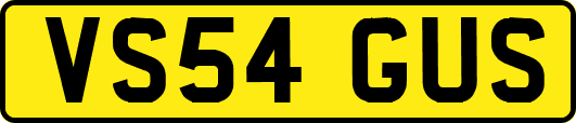 VS54GUS