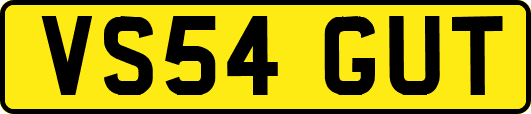 VS54GUT
