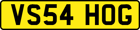 VS54HOG