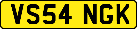 VS54NGK