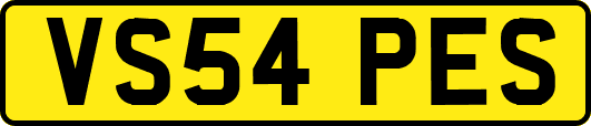 VS54PES