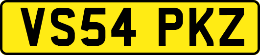 VS54PKZ