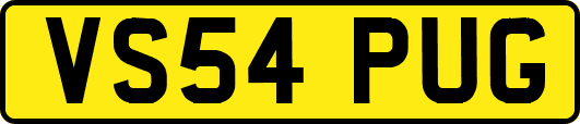 VS54PUG