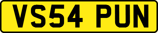 VS54PUN