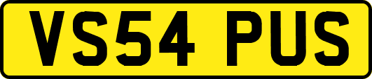 VS54PUS