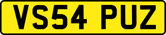 VS54PUZ