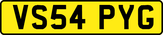 VS54PYG