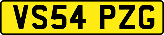 VS54PZG