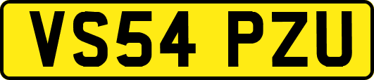 VS54PZU
