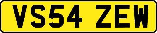 VS54ZEW