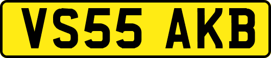VS55AKB