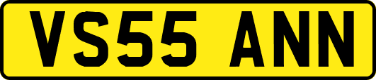 VS55ANN
