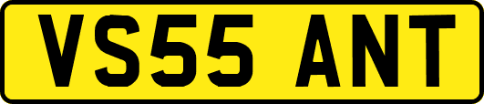 VS55ANT
