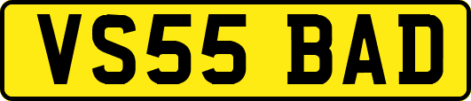 VS55BAD