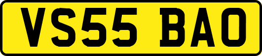 VS55BAO