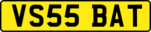 VS55BAT
