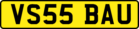 VS55BAU