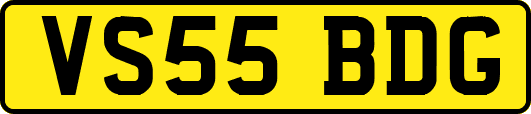 VS55BDG