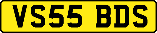VS55BDS