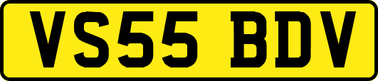 VS55BDV