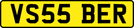VS55BER