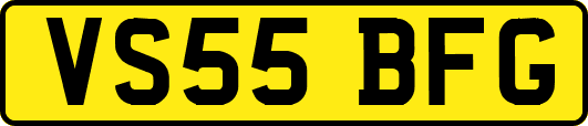 VS55BFG