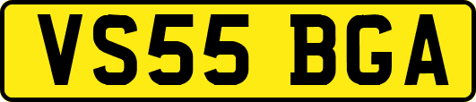 VS55BGA