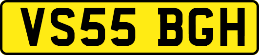 VS55BGH