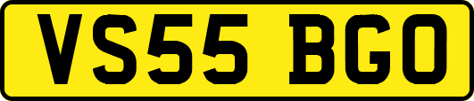 VS55BGO