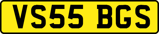VS55BGS