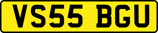 VS55BGU