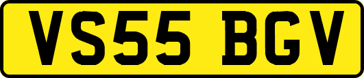 VS55BGV