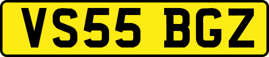 VS55BGZ