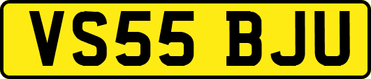 VS55BJU