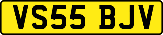 VS55BJV