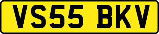 VS55BKV
