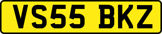 VS55BKZ