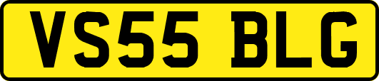 VS55BLG