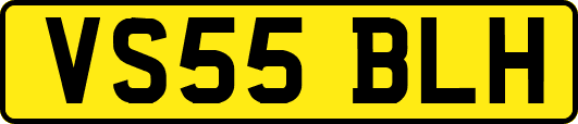 VS55BLH