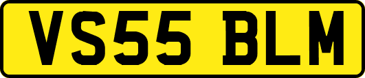 VS55BLM