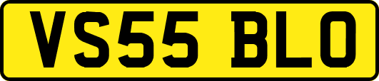 VS55BLO