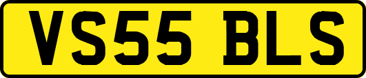VS55BLS